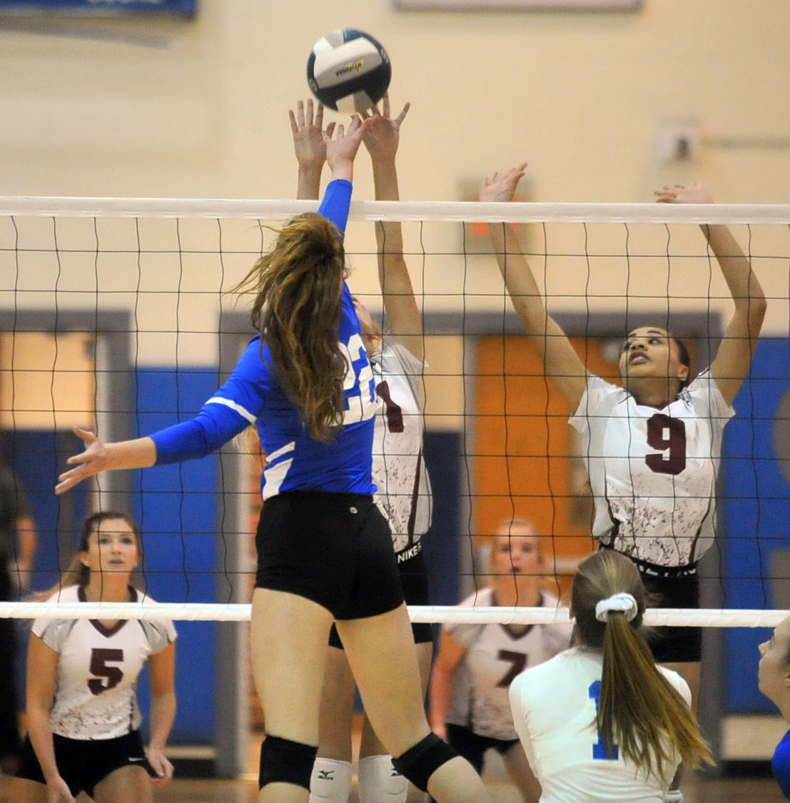 Volleyball: Argyle vs. Galway